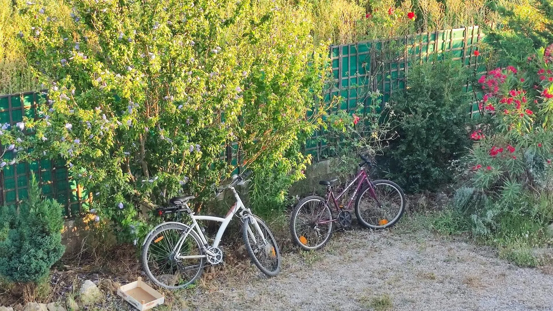 Robion en Luberon Chambre De 1 Personne Dans Mas De Luberon צרפת